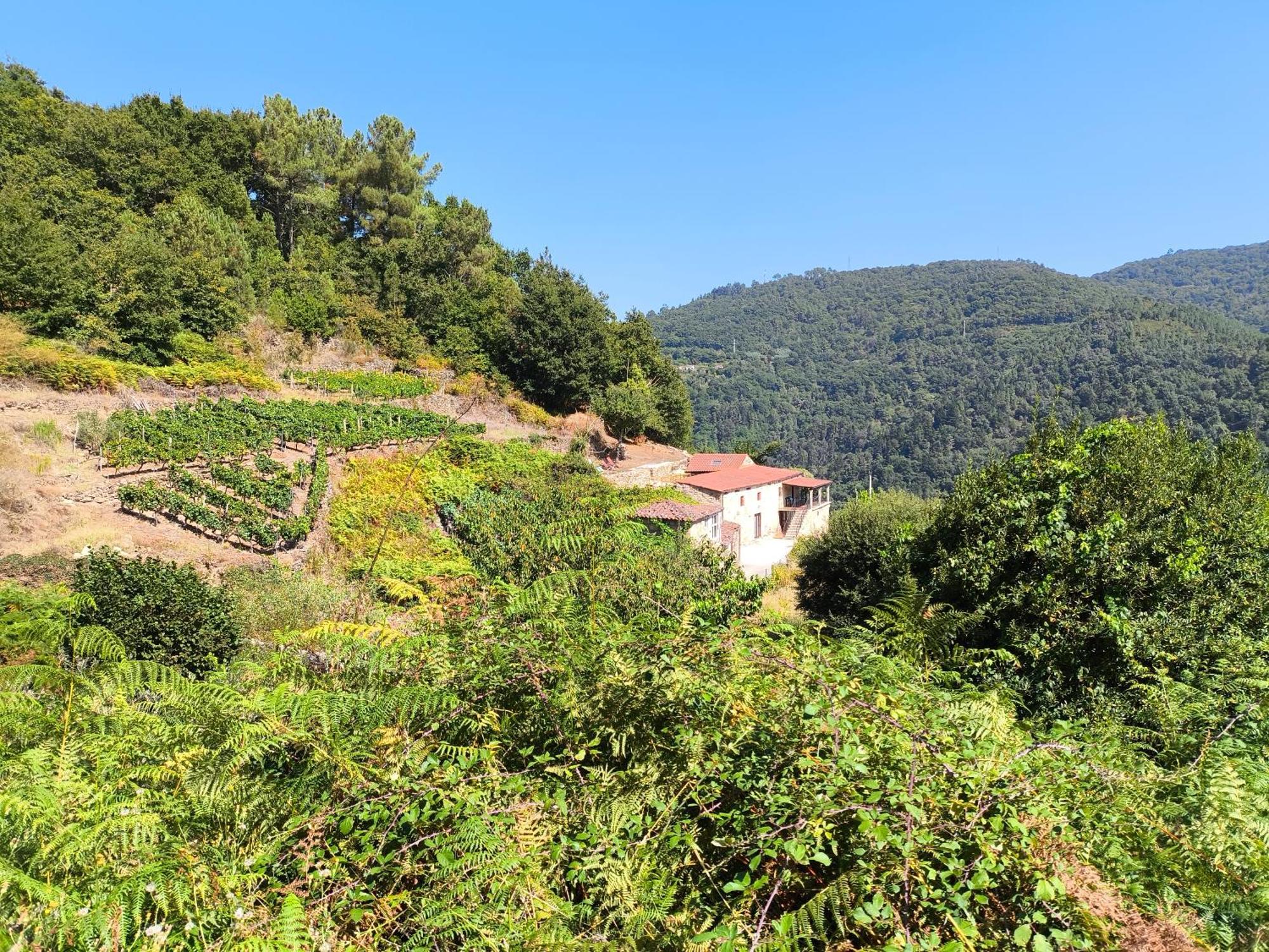 Xiravai-ribeira Sacra